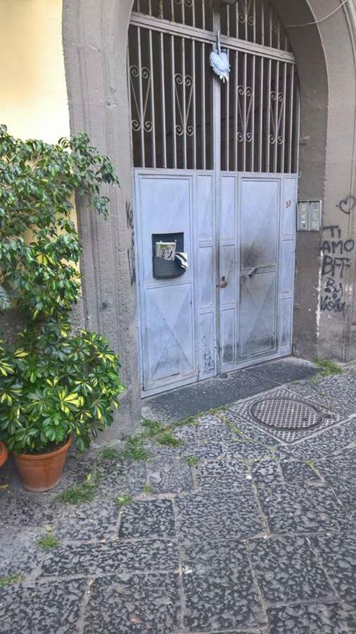 Fabrizio Napels
